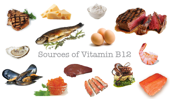Bổ sung vitamin B12