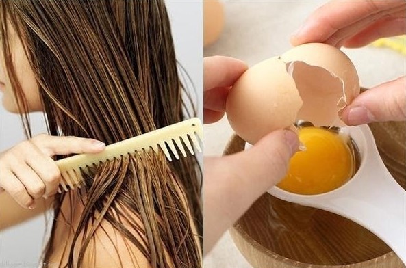 Phục hồi tóc xơ rối với trứng gà và dầu dừa